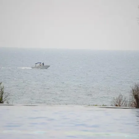 Sea Senses Blue Ocean